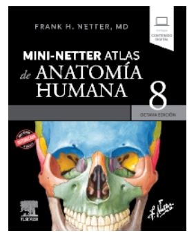 NETTER - MINI - NETTER ATLAS DE ANATOMIA